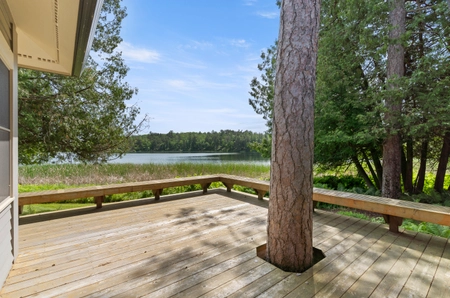 The back porch of petite cottage overlooking the lake - a tree grows up through the center of the porch